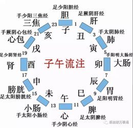 12月21日是什么星座女 12月21日是什么星座女生农历