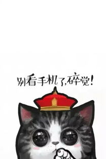 有一种戴红色帽子的卡通猫叫什么 