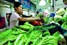 签约6省市蔬菜基地 沪本月蔬菜量增批发价降