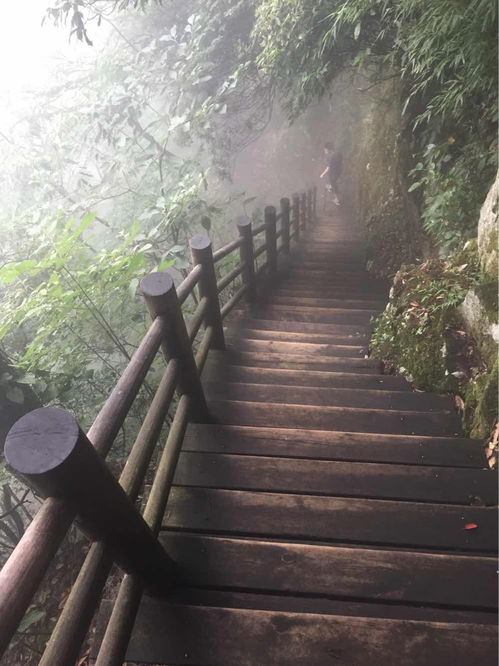 西天目山 景区门票 学生票西天目山 去的时候是 驴妈妈点评 