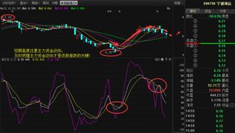 宁波海运有没有买入价值？