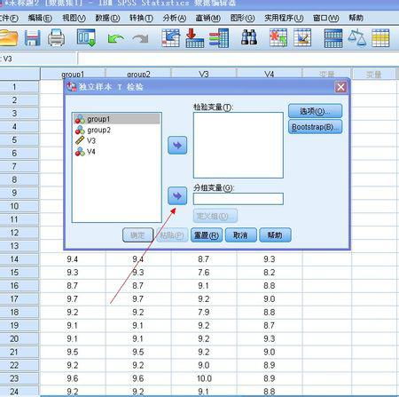 独立样本T检验中分组变量时啥啊 我该怎么弄这个分组变量 我的分组变量不是只有两个因子,比如年龄段 