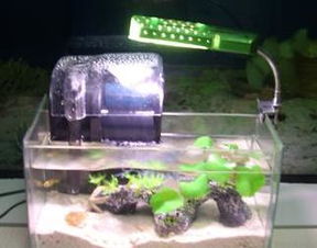 鱼缸的增氧器,谁可以介绍更好的 或者可以用其他代替吗 
