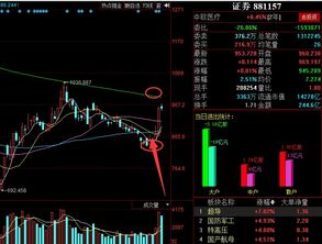 美国股票那只市值最高