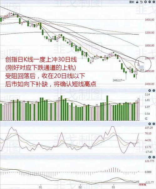 600600底部放量，跳空高开。后市会如何，请高手分析一下。谢谢！