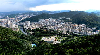 红花岗城乡居民医疗保险,贵州省遵义市红花岗城镇职工基本医疗保险什么时候启动的