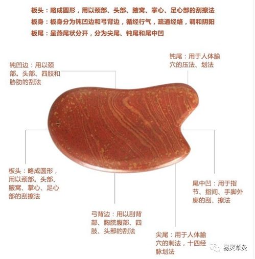 经络红外线成像技术