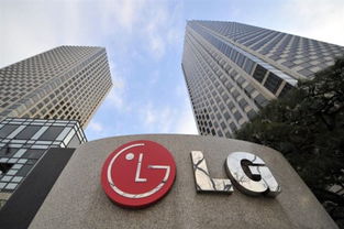 LG责任有限公司在哪，是什么公司