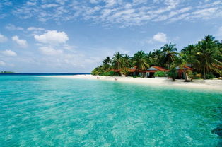 马尔代夫岛旅游度假享受天堂般的自然风光（马尔代夫旅游攻略）
