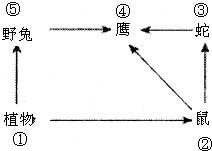 如图.当某种有毒物质进入生态系统后.生物体内有毒物质积累最多的是 A. ①,B. ④,C. ②,D. ⑤.答