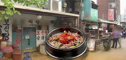 禁令下,韩国人 挂羊头卖狗肉 他们为什么酷爱吃狗