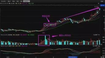 老股民教你牛股起爆前买入,散户看完炒股稳步获利