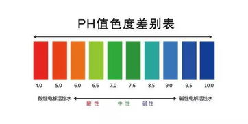 头发出油 细软 大把掉 不解决这个问题,做啥都没用 