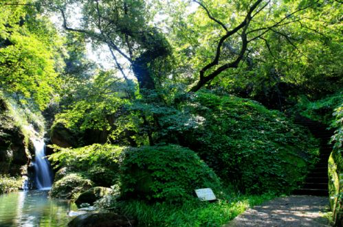 想要来次 森 呼吸 池州这些地方可以满足你