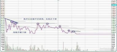 股票里面那些股票可以长期持有？