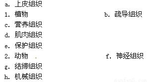 一位B型血的病人急需输血急救.从血库中取血时首先选A.A型血 B.B型血 C.AB型血 D.O型血 题目和参考答案 青夏教育精英家教网 