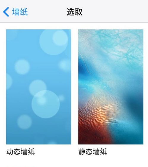 苹果手机怎么设置动态壁纸 一张动态图一设定就变成静态了怎么办 