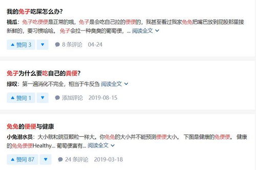 狗改不了吃屎,你知道兔子也爱吃屎粑粑吗 