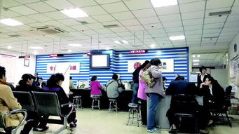 河北沧州市有多少家证券营业部？