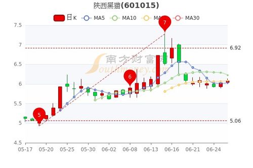 股票陕西黑猫11.4元买进，10转5后盈利多少？