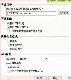 我下载歌我用USB的,QQ音乐设置我点了下载歌词,为什么到手机里的音乐没有歌词 我点了歌词,可是到手机一看没有歌词 