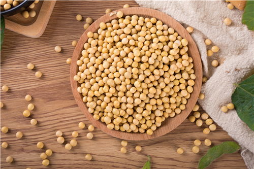 黄豆价格多少钱一斤2021 价格为什么暴涨 附黄豆价格行情最新价格走势