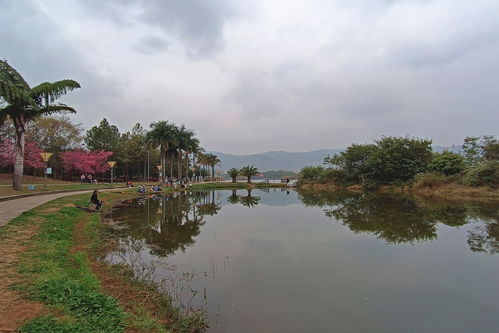 湖泉生态园停车场收费标准,湖泉酒店湖泉生态园