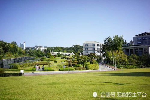 成都市电子信息学校？成都计算机学校有哪些