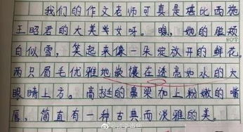 小学生作文竟如此夸老师 网友 嘴巴太甜了