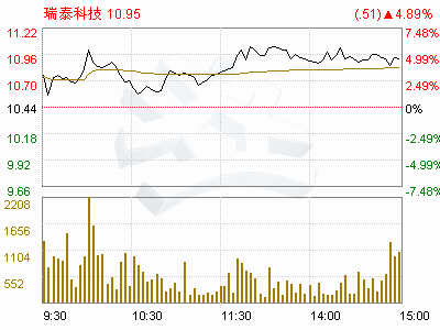 瑞泰科技股份有限公司的高管介绍