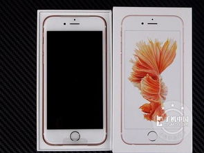 专卖店全网通价格 苹果iPhone 6s多少钱 