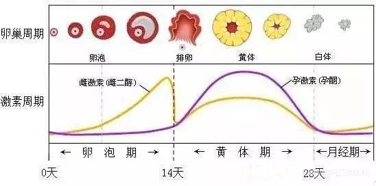 无论你多大年龄,都要知道胸部保养的好处