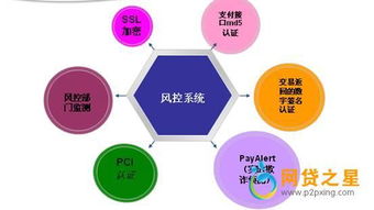 国内互联网大数据风控做得比较好的公司有哪些