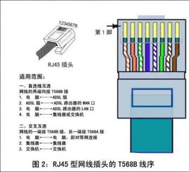 这是家里的暗线集装箱 蓝色的线连接着卧室的网 ,然后怎么连接路由器什么的才能让卧室的网线插口可以用 