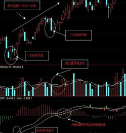 短线操作MACD，要与哪些指标配合？