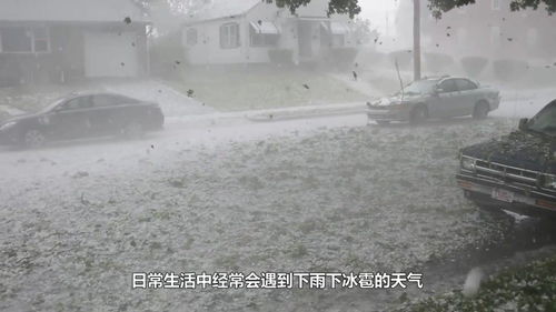 天上除了下雨下雪下冰雹,你见过天上下鱼的吗,是可以吃的鱼 