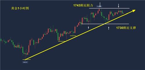 603969今天是涨是跌