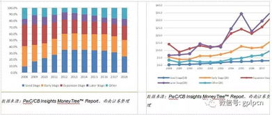 中美PEVC年度分析与展望