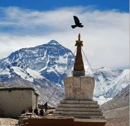 2018下半年,西藏最美旅行时间表,拿走不谢 