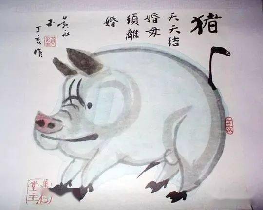 猪鼻子插葱装象造句-猪鼻子插葱装相是什么意思？