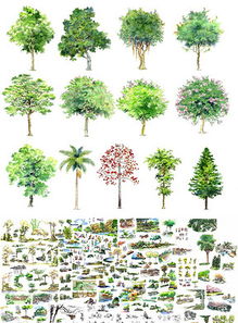 园林景观设计别墅花园私家别墅平面图下载 图片49.13MB 园林CAD图纸大全 园林景观CAD图纸 