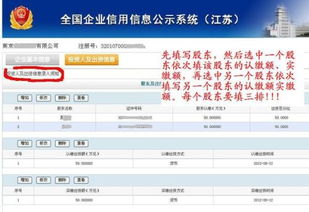 全国企业信用信息公示系统股东怎么填写
