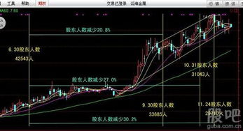 有谁知道怎么在线炒股或什么软件