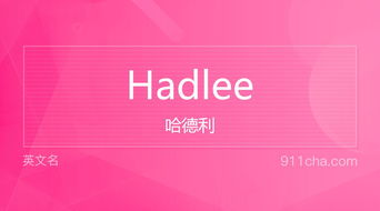 英文名Hadlee 的意思 性别含义寓意及印象是什么 英文名 911查询 