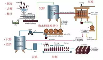 为什么不建议你买20块钱的进口葡萄酒