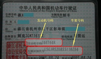 我的行驶证发动机号后面六位带有字母如何查询违章,输了好几次都说不正确 