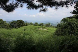 闻喜汤王山 经历一场战争 