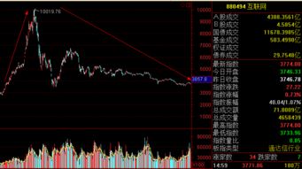 给你一个比特币或者两手茅台股票，但是只能十年后提现，你会选哪个？