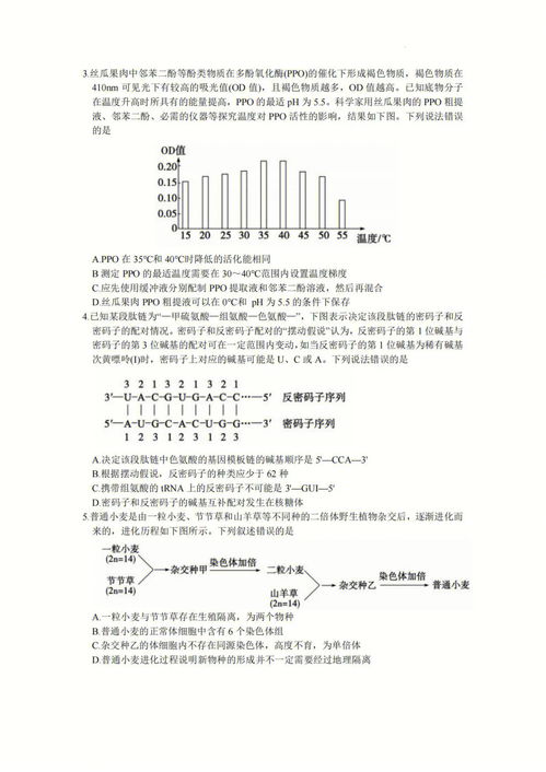 高考生物 高三生物模拟题 