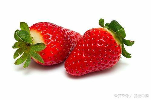 为啥女人都喜欢吃草莓 
